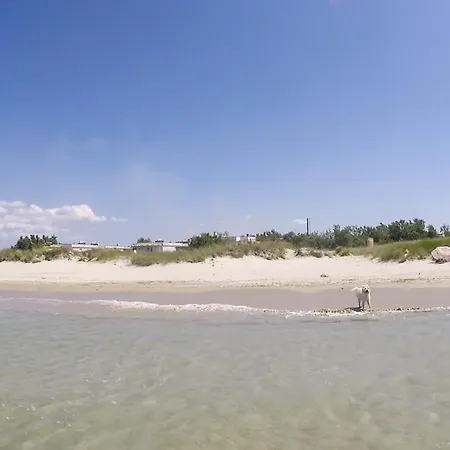 Σπίτι διακοπών Big Beach House M710 Torre Rinalda